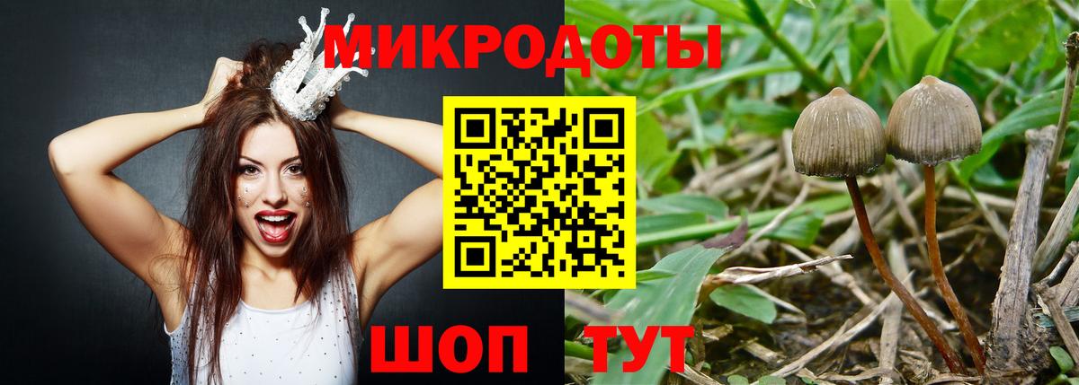 Галлюциногенные грибы Cubensis Вязьма